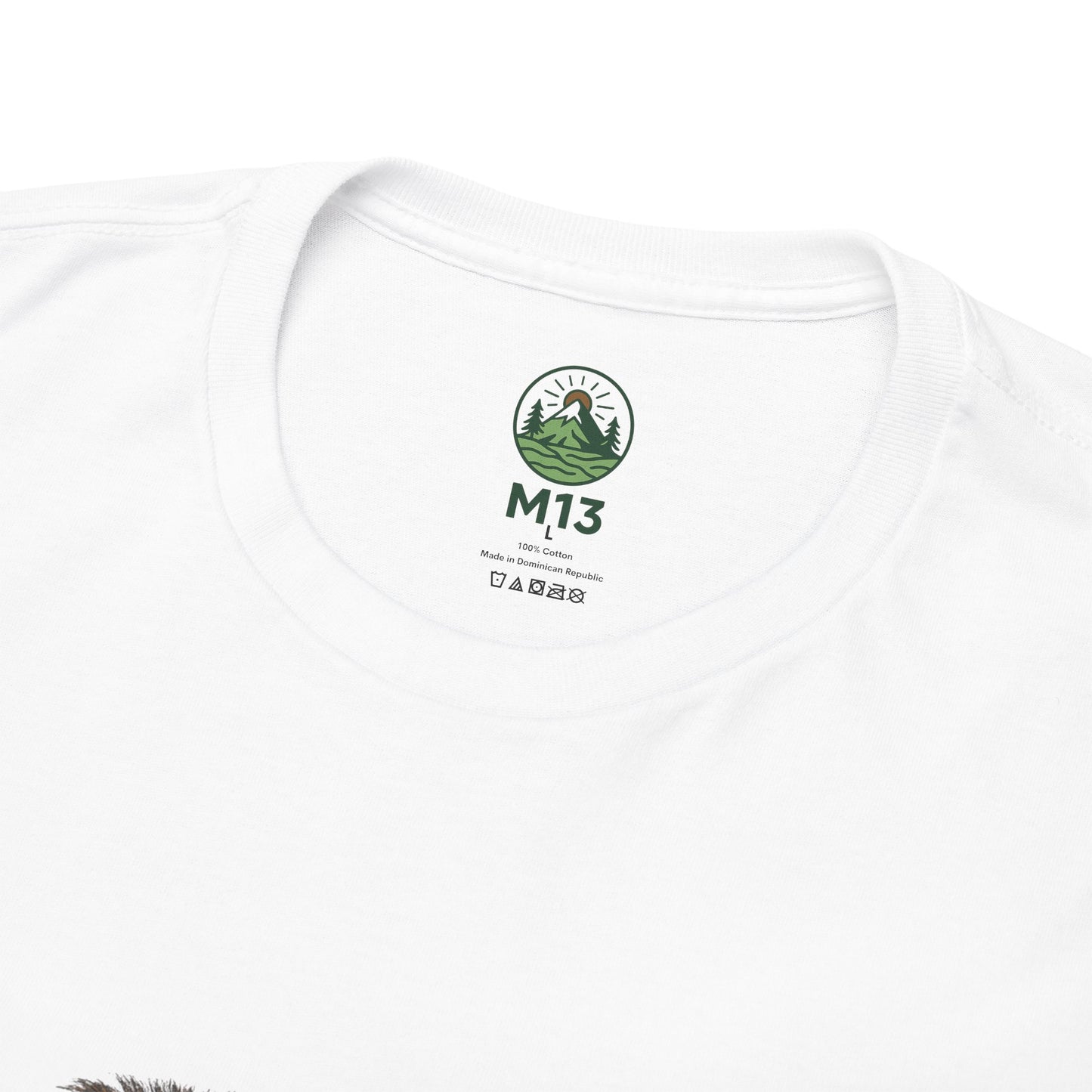Lion Family T-Shirt – Majestic Wildlife Nature Design | Lion Pride Graphic Tee