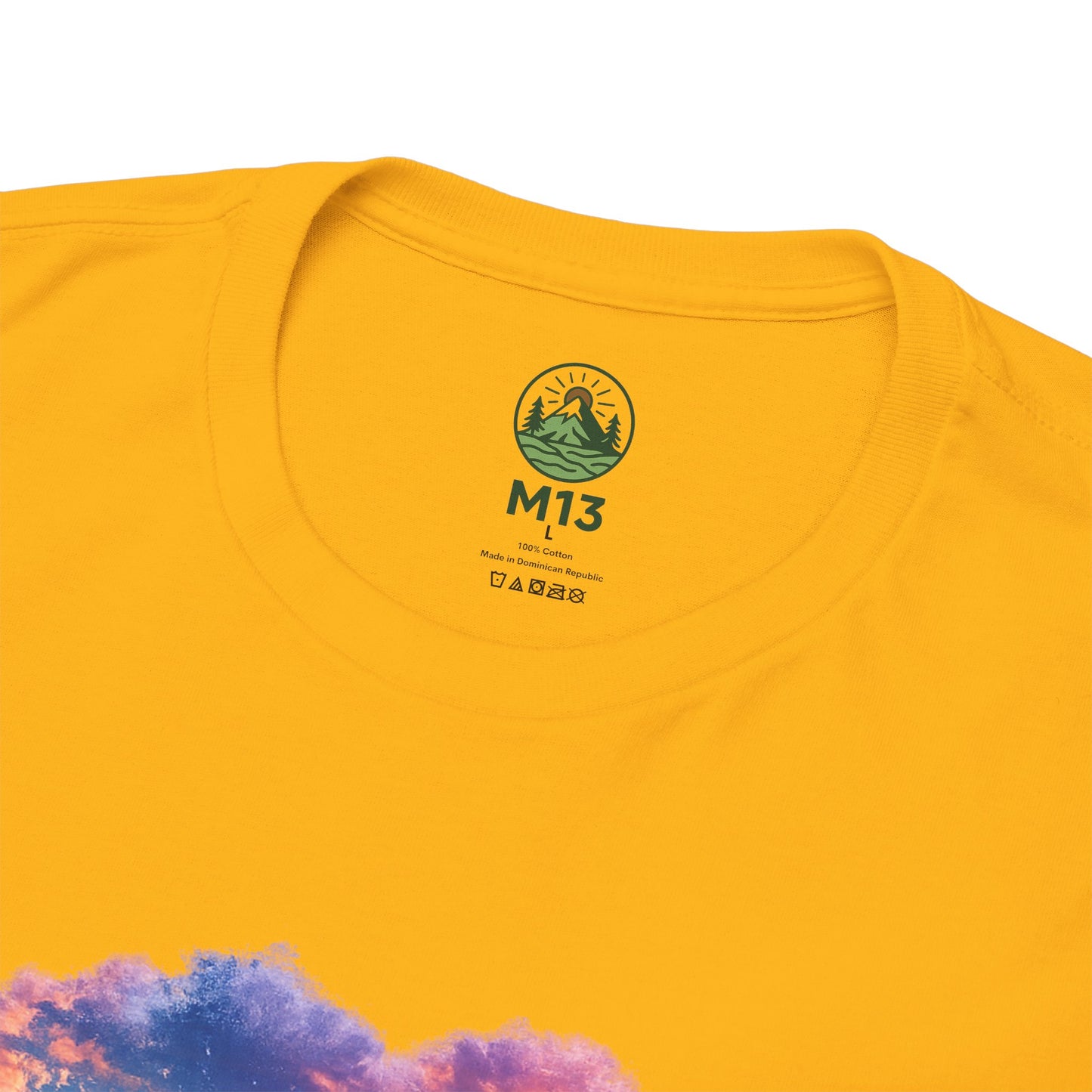 Spirit of the Andes – Machu Picchu Bird T-Shirt | Nature Graphic Tee
