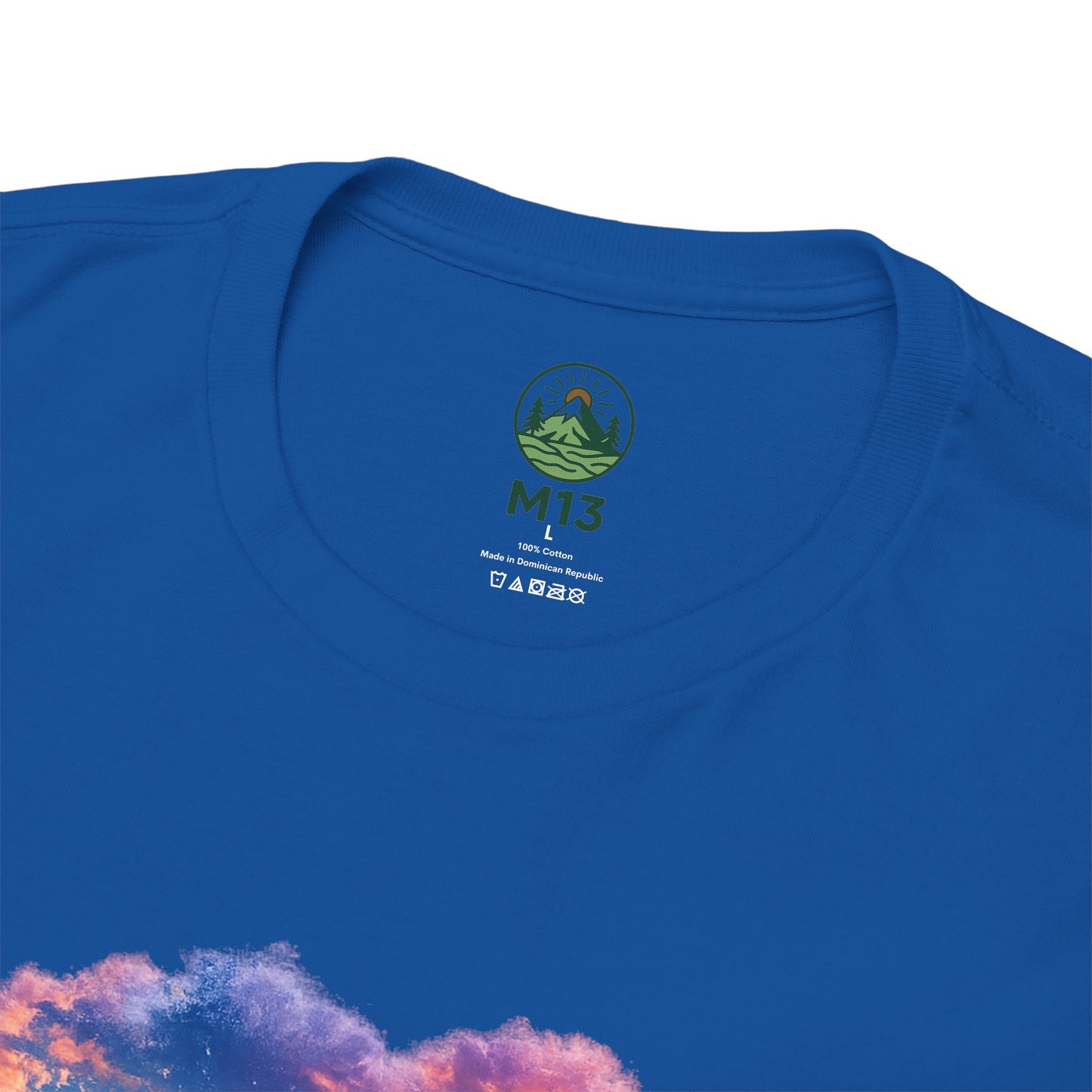 Spirit of the Andes – Machu Picchu Bird T-Shirt | Nature Graphic Tee