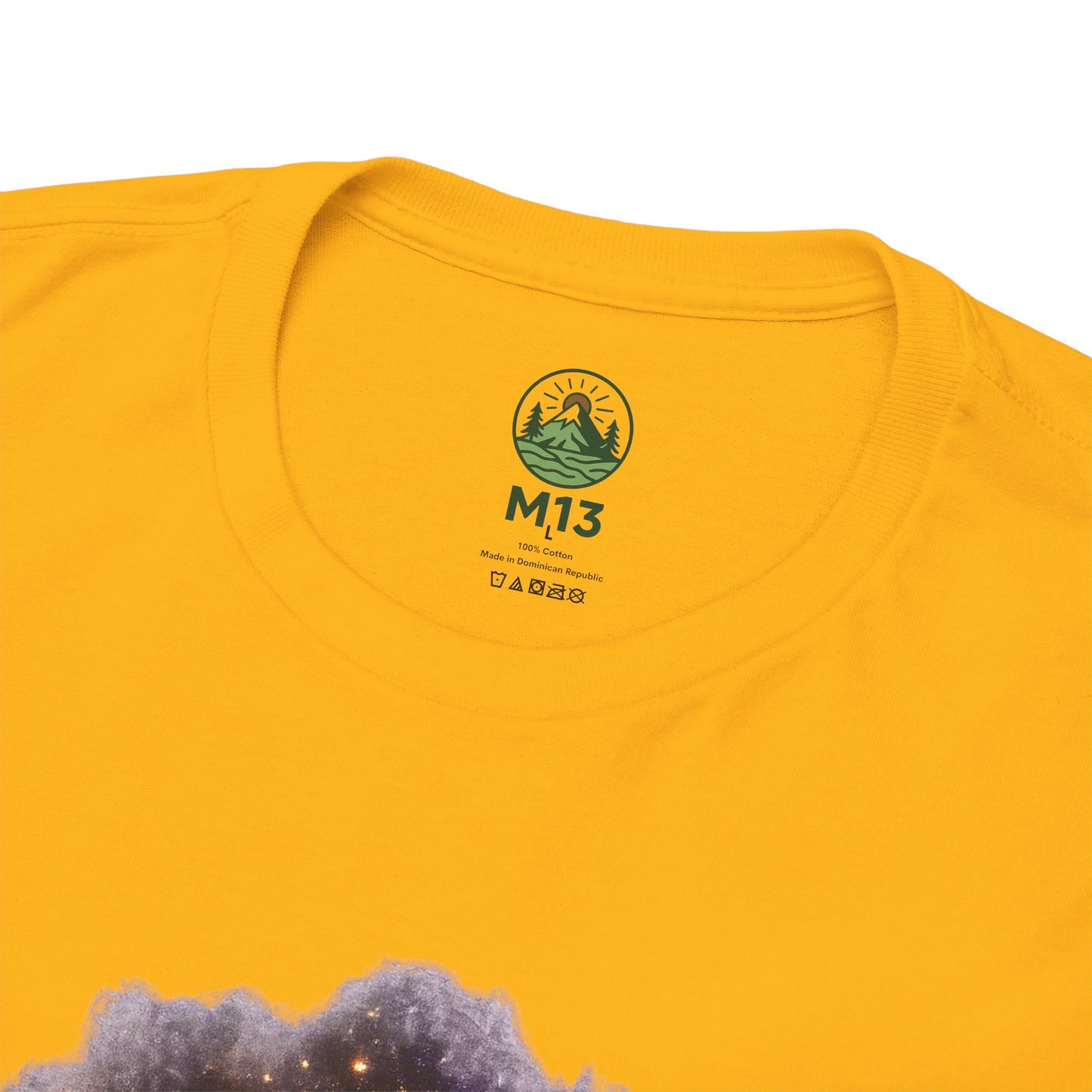 Aardwolf T-Shirt – Mystic Night Wildlife Design | Rare Cosmic Animal Graphic Tee