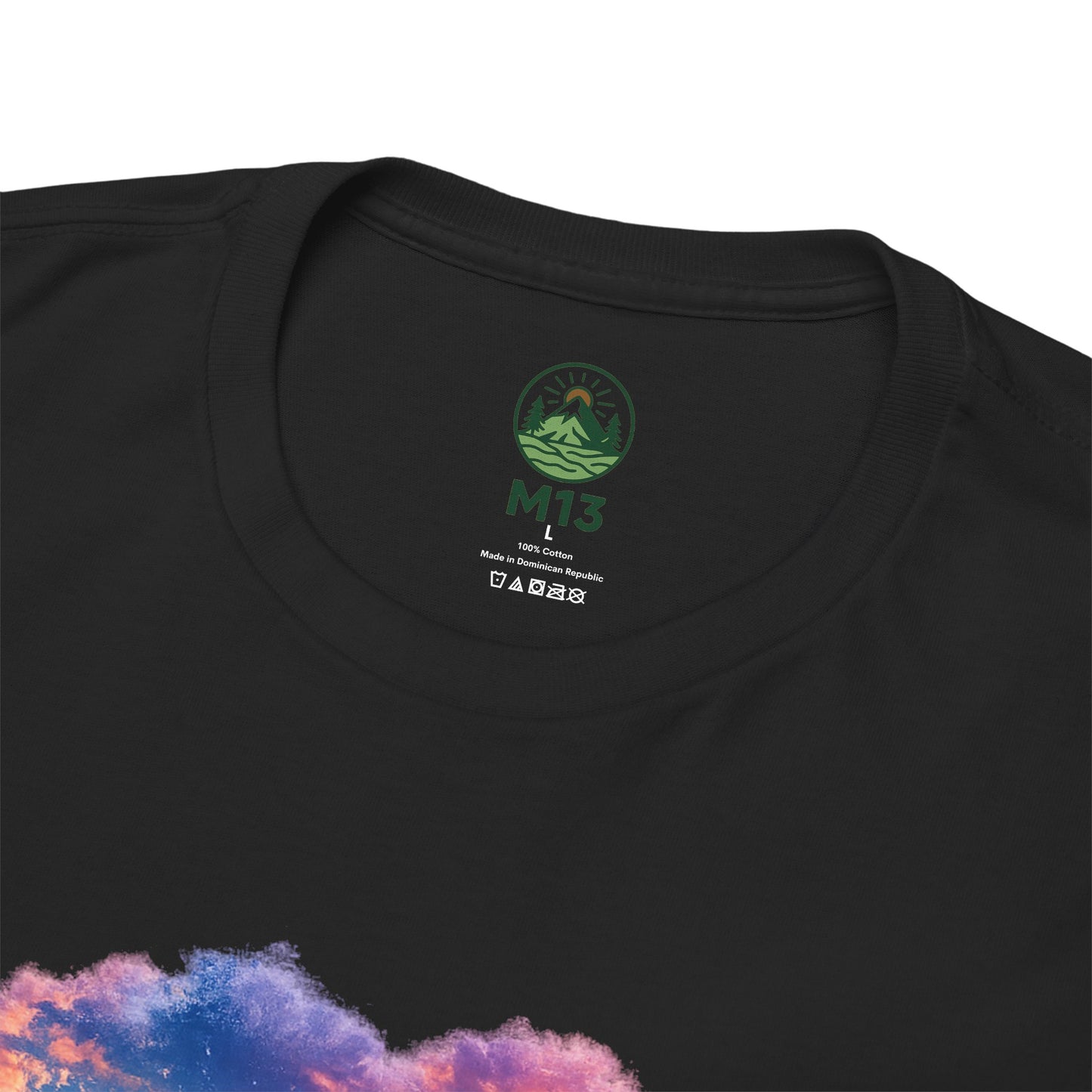 Spirit of the Andes – Machu Picchu Bird T-Shirt | Nature Graphic Tee